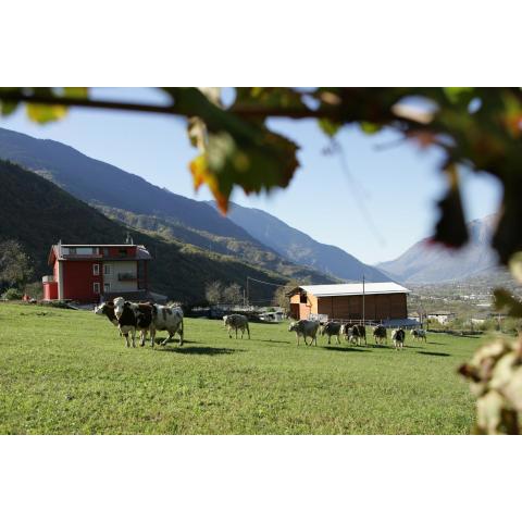 Agriturismo Stella Orobica