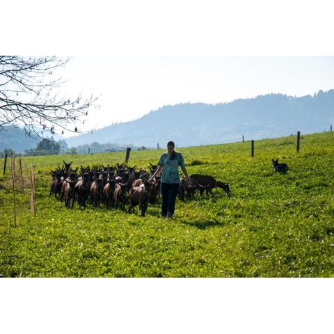 Agroturistika kozí farma Rožnov pod Radhoštěm