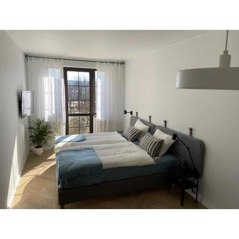 APARTAMENT OVOC 2.0