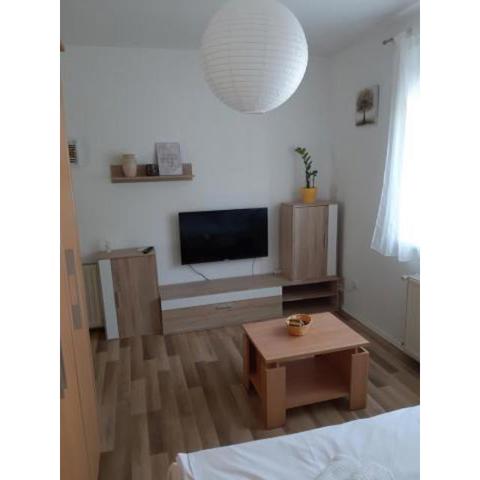 Apartman Dominić