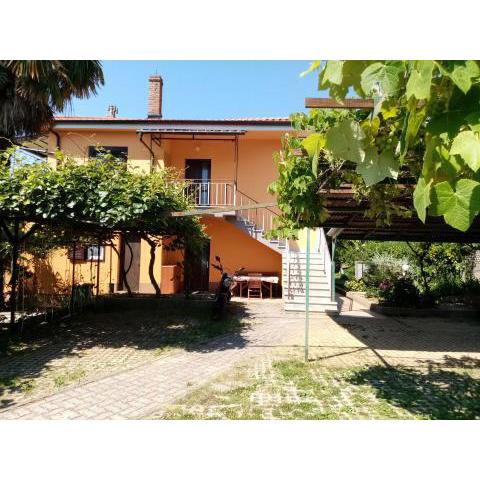 Apartman Violeta