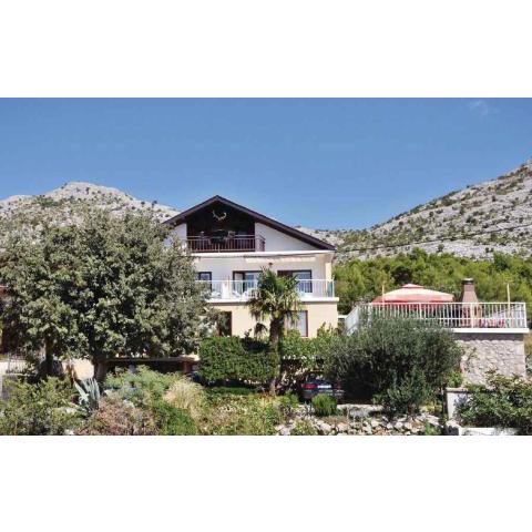 Apartment in Starigrad-Paklenica 31188