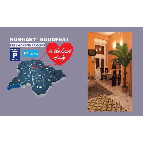 Apartment in the center of Budapest -free garage parking