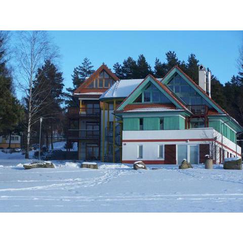 Apartment Lipno