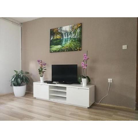 Apartment Smoljanac 14979b