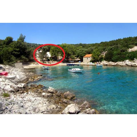 Apartments by the sea Cove Milna - Zastrazisce, Hvar - 8951