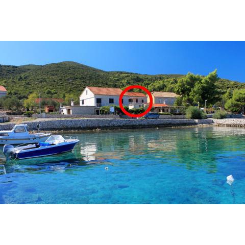 Apartments by the sea Kneza, Korcula - 4371