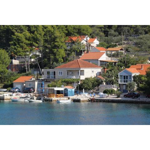 Apartments by the sea Lumbarda, Korcula - 4481