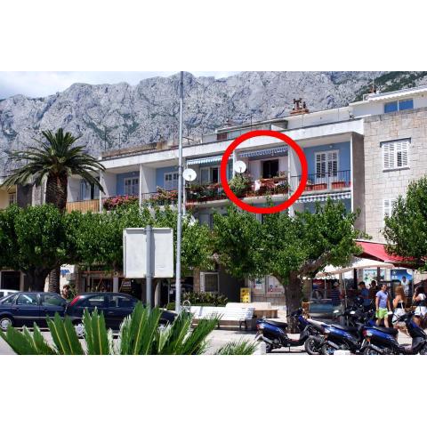 Apartments by the sea Makarska - 6843