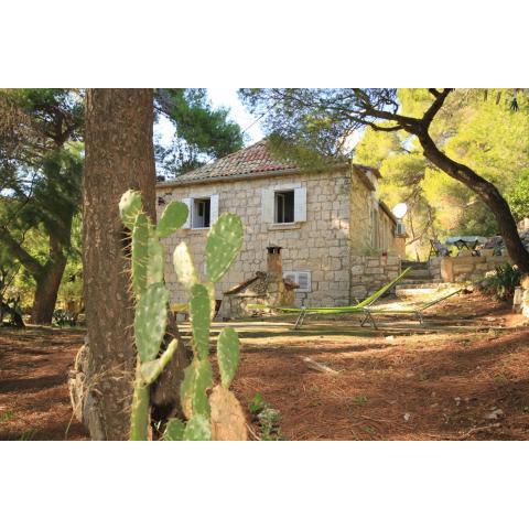 Apartments by the sea Milna, Vis - 8490