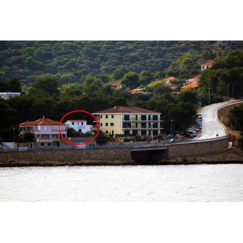 Apartments by the sea Rogac, Solta - 16223