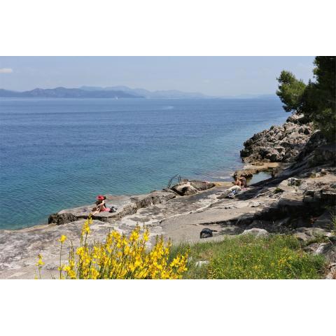 Apartments by the sea Trpanj, Peljesac - 15995