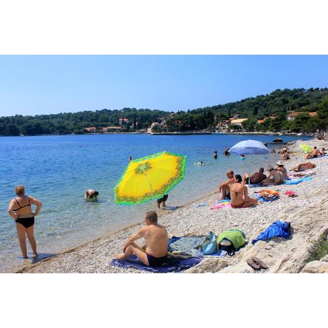 Apartments by the sea Zaton Veliki, Dubrovnik - 2107