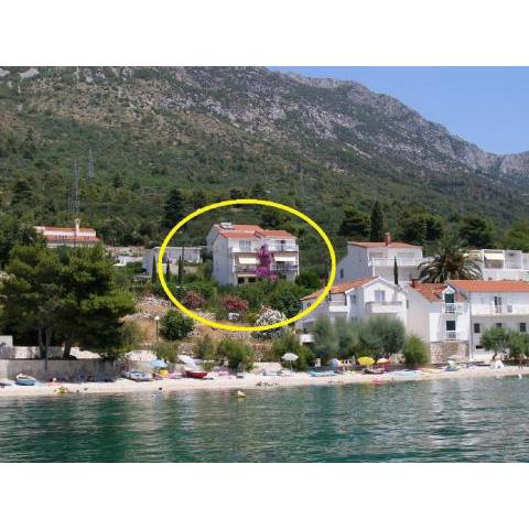 Apartments Kate - 20m from the beach