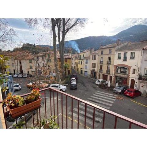 Appartement Céret, 3 pièces, 6 personnes - FR-1-703-37