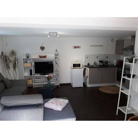 Appartement F2 de 50m2 à 5min de Colmar