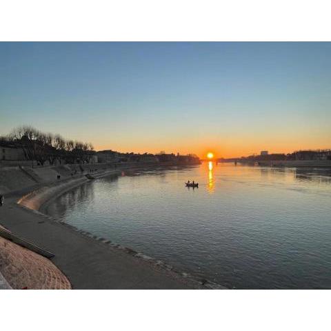 ARLES CENTRE HISTORIQUE VUE RHONE - Superbe T4