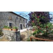 B&B Paternocchio