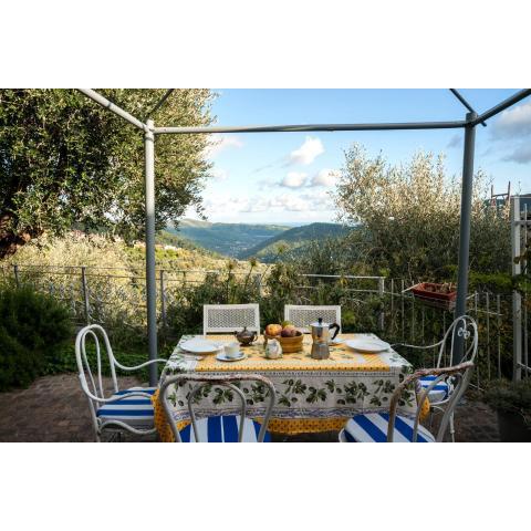 Ca d'Artista for nature lovers - Happy Rentals