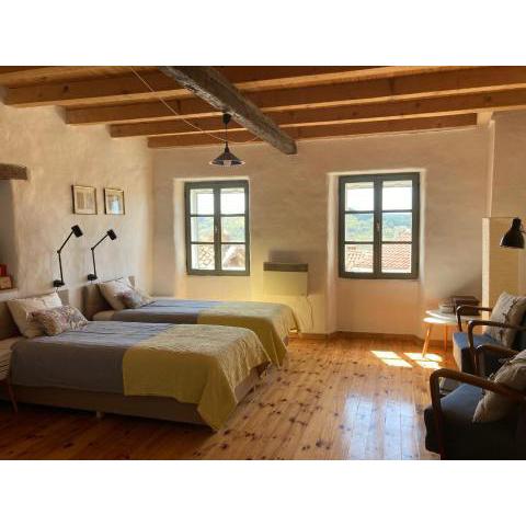 Camino House Motovun - Eco B&B