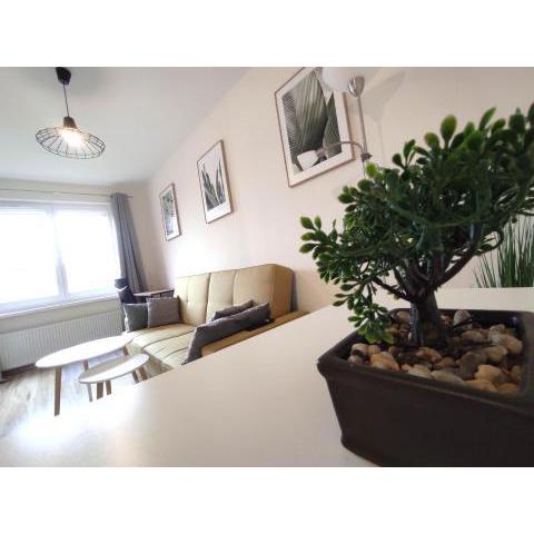 ***Casablanca Apartament*** - 40m² ✓