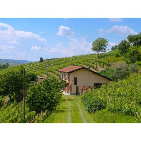 Cascina tra i vigneti a Nizza Monferrato