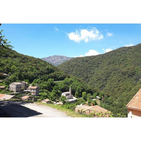 Charmant appartement au cœur de la montagne Corse