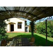 Cozy Home in San Casciano in Val di Pesa with BBQ