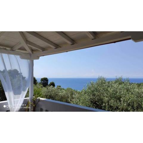 Elia house 1 astoning sea view among the olive trees