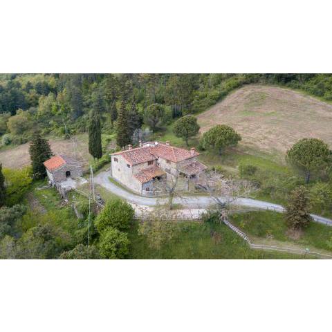 Fattoria di Cintoia