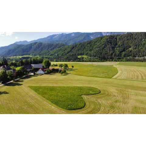 Ferien am Land - WALDBAUER