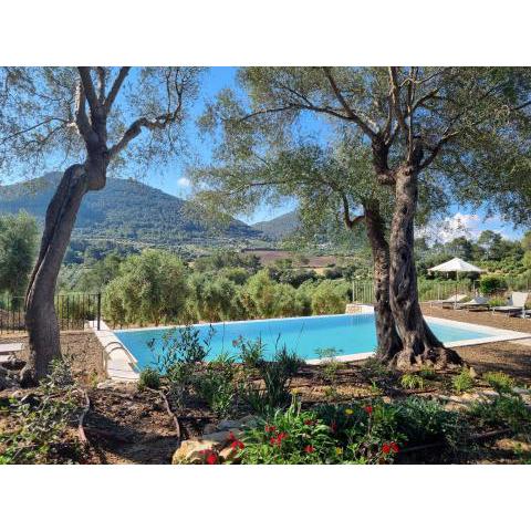 Finca Treurer - Olive Grove & Grand House - Adults Only