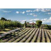 Gîte St Roch en Luberon