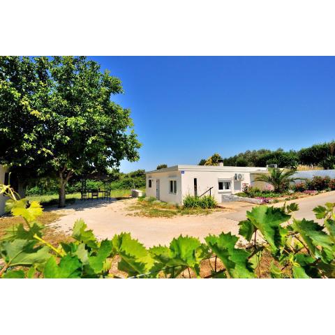 Holiday Home Vitis