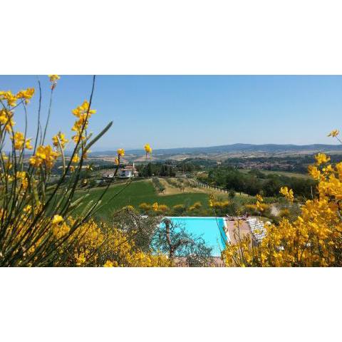 Holidays in apartment with swimming pool in Tuscany Siena