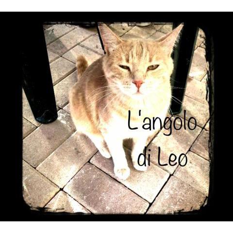 L'angolo di Leo