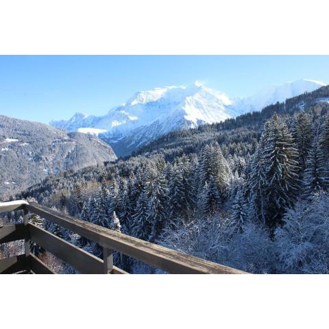 Le Cristal du Mont-Blanc