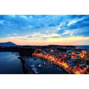 Little house with yard and BBQ in Procida Island