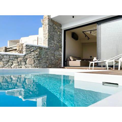 Luxury House With Private Pool At Elia Beach(Mykonos)