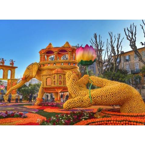 MENTON STUDIO FACE AU JARDIN BIOVES FÊTES DES CITRONS 3min DE LA MER