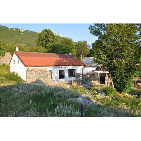 Mountain Cottage Mons Baebius