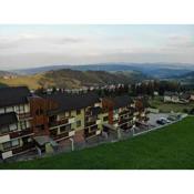 Mountain Village Apartment Pinewood ***