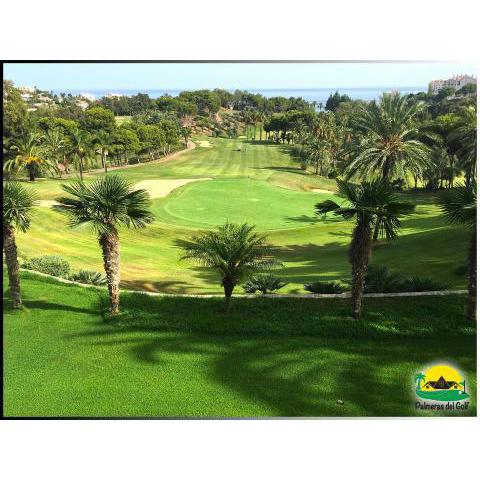 Palmeras del Golf - Torrequebrada