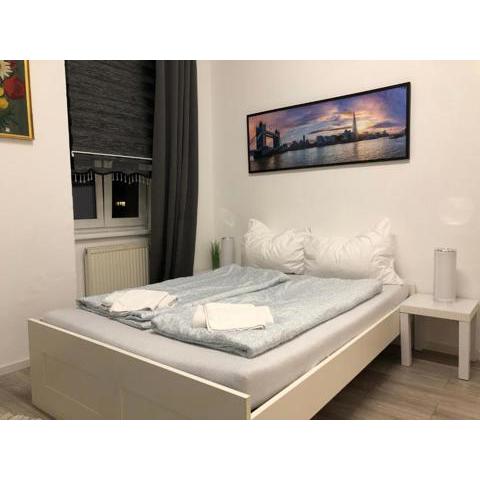 Pleasant 1BR Aprt. near The Danube & Millenium T.