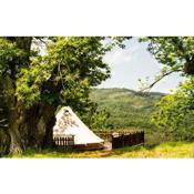 Podere di Maggio - Canvas tent Chestnut