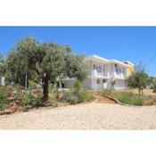 Poseidonia Syros cozy house