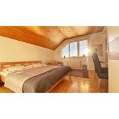 Relax Villa Tatry - Wifi/TV, BBQ, Billiard