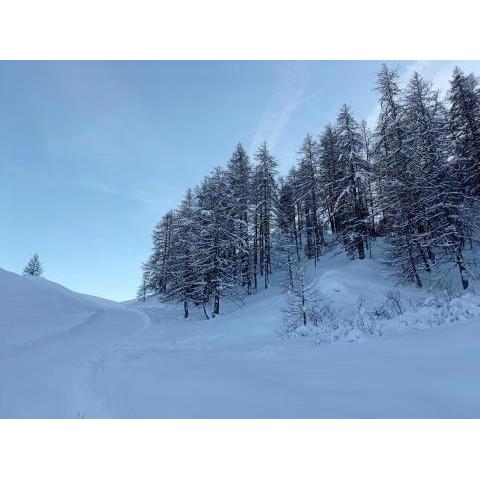 Résidence le Schuss Studio Montagne en bas des pistes