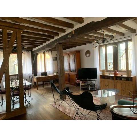 Rouen historique, appartement 113m2 Duplex