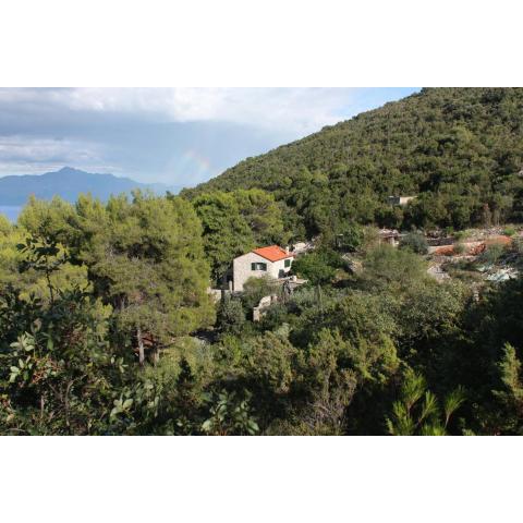 Seaside secluded apartments Cove Zavala - Gdinj, Hvar - 5717